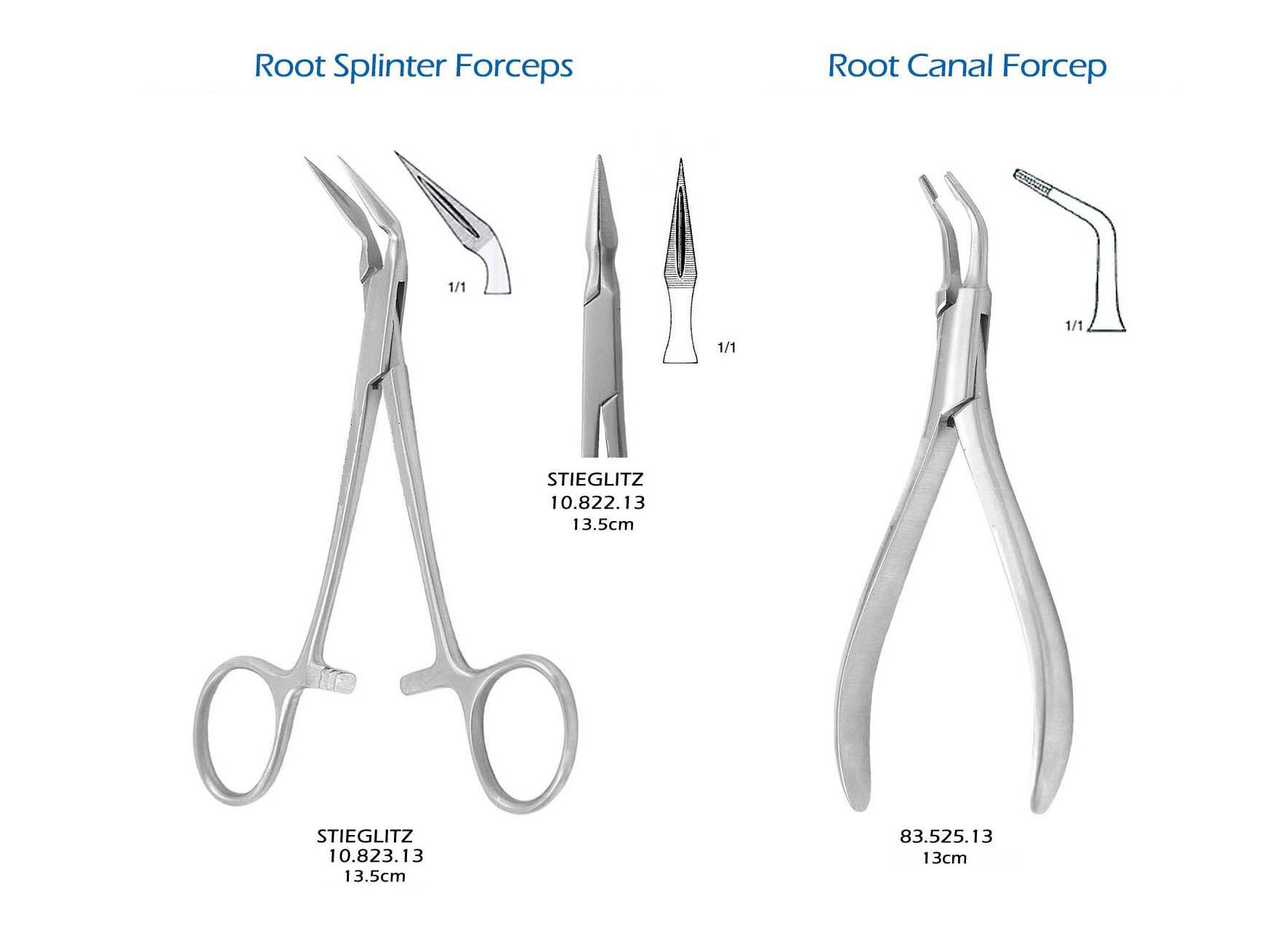 Root splinter